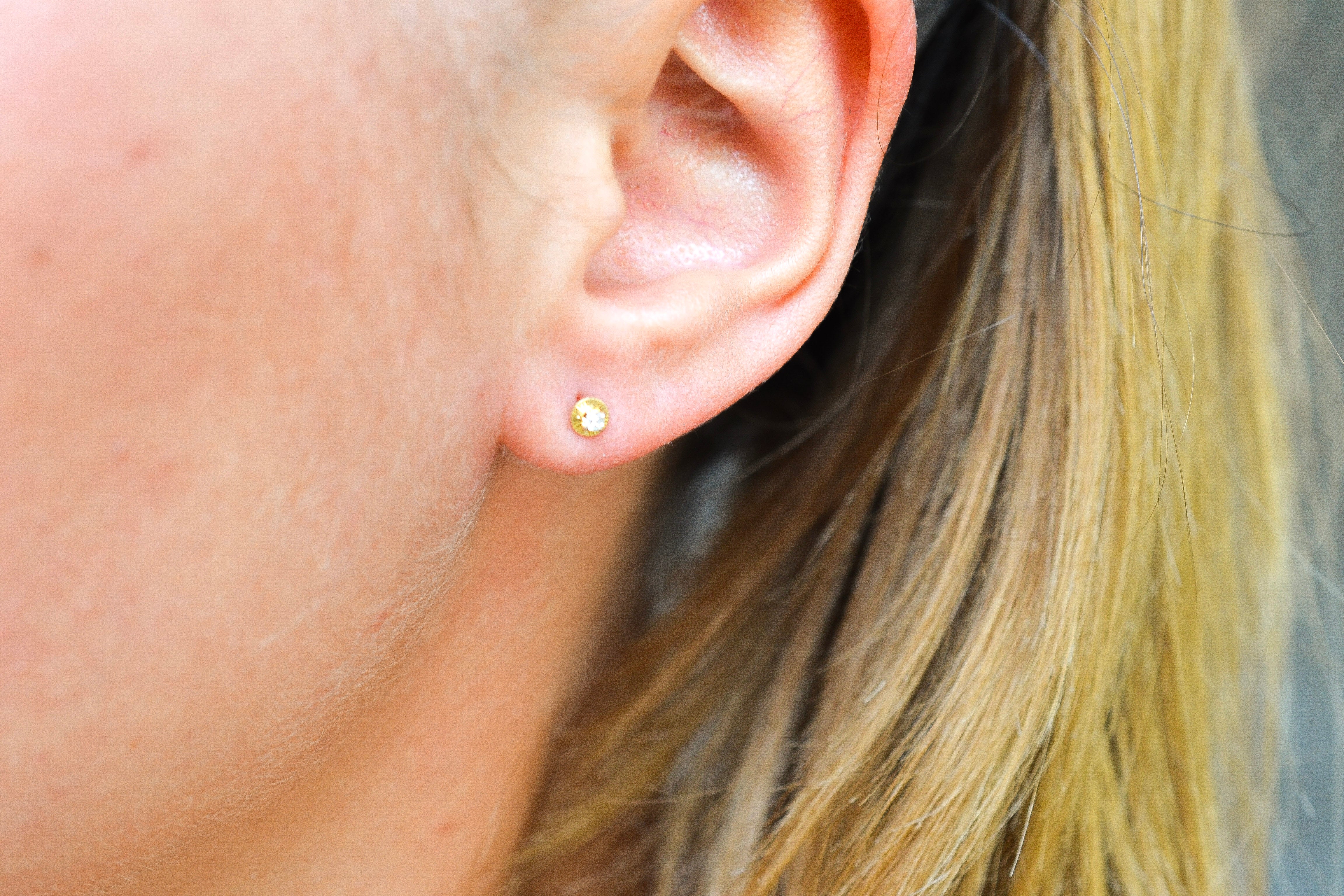 Puces d'oreilles rondes striées