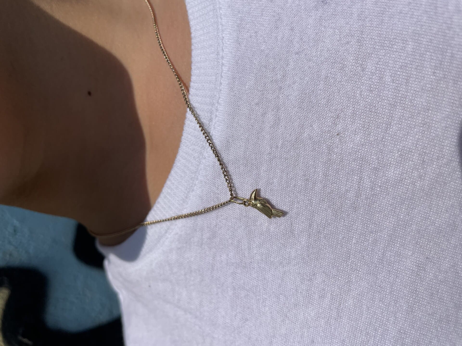 Pendentif toucan Or