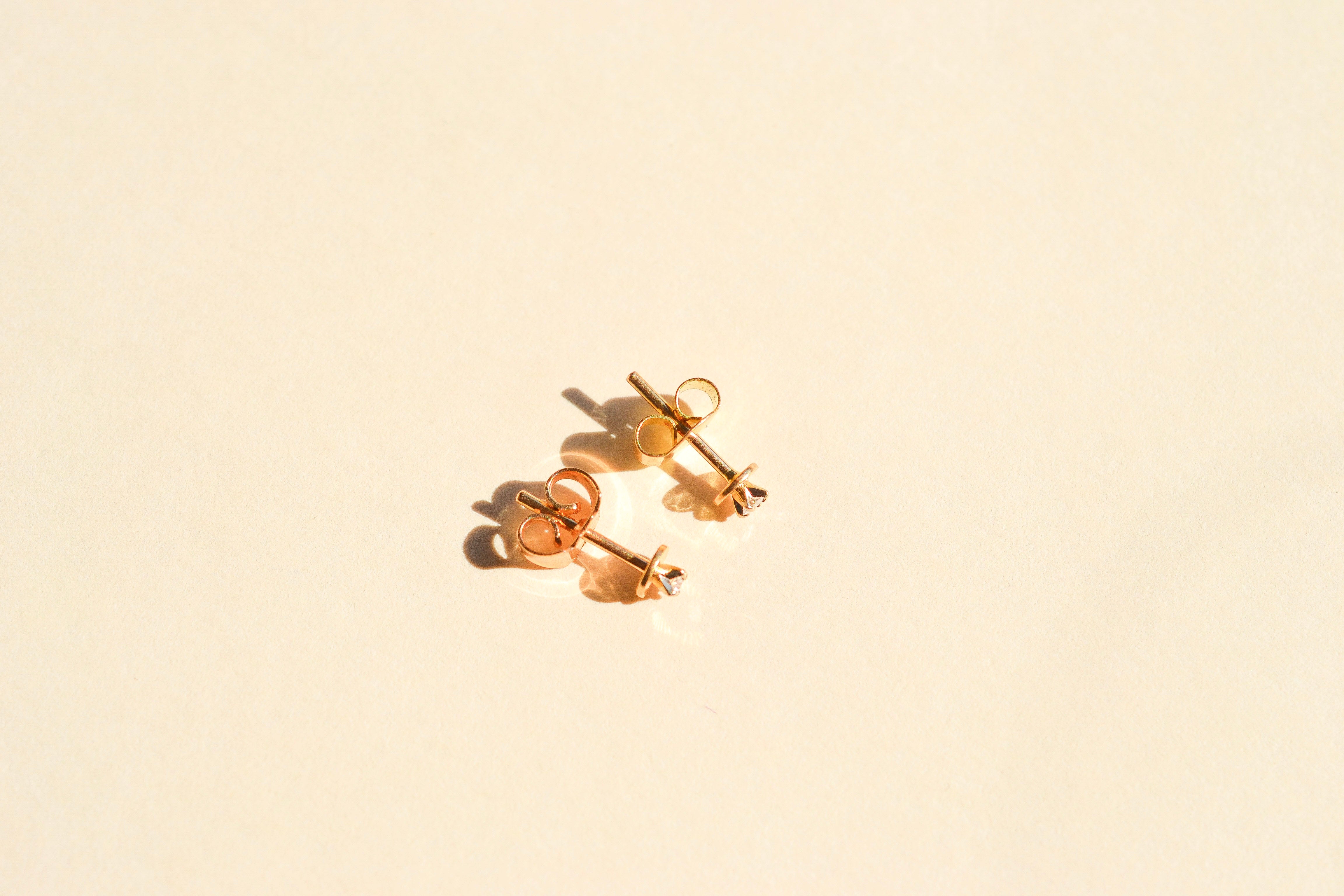 Puces d'oreilles rondes striées