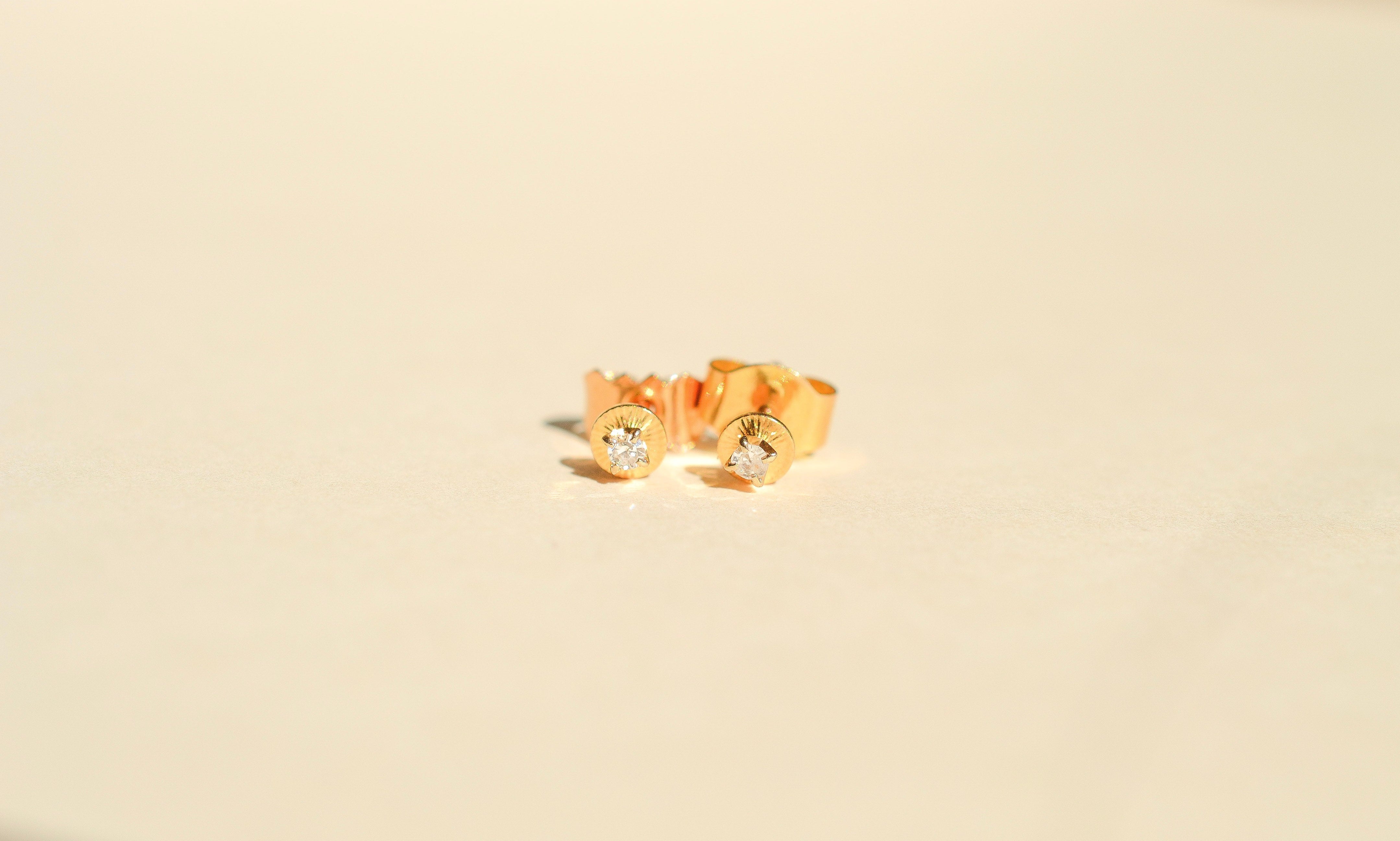 Puces d'oreilles rondes striées