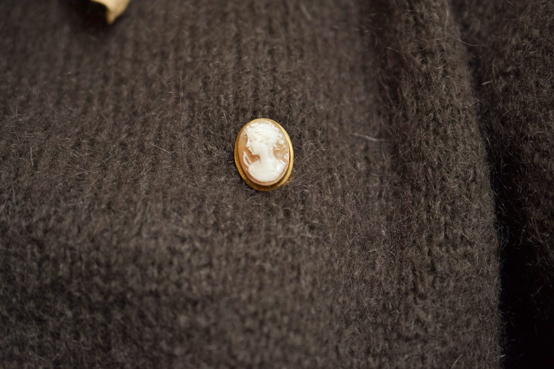 Pendentif et broche Camée