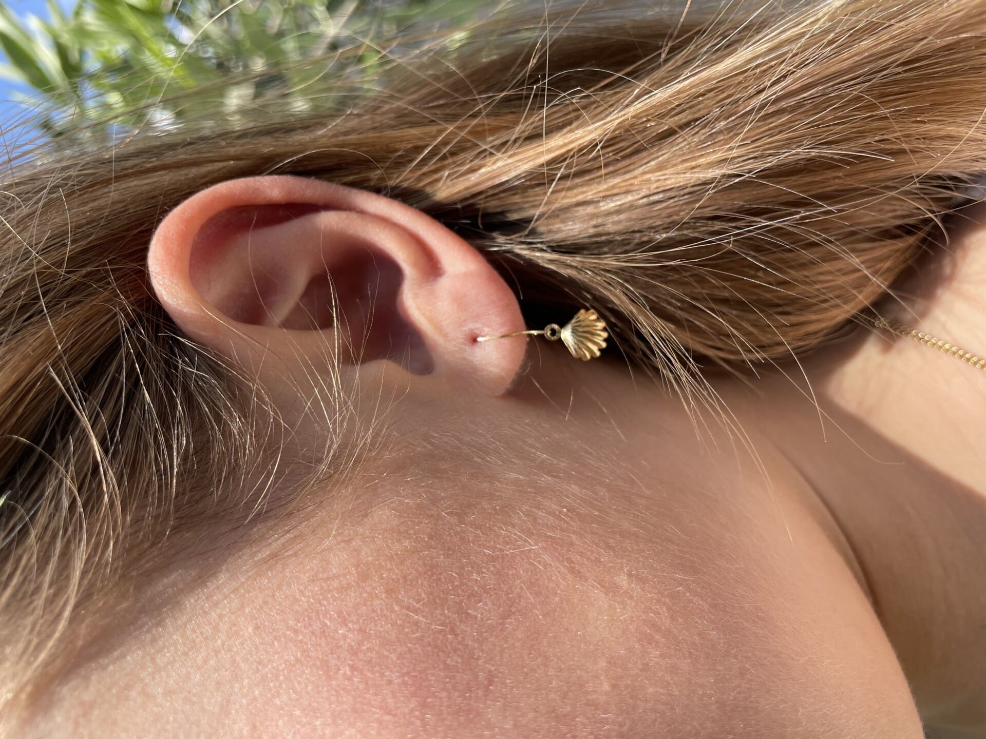Boucles d'oreilles coquillage Or