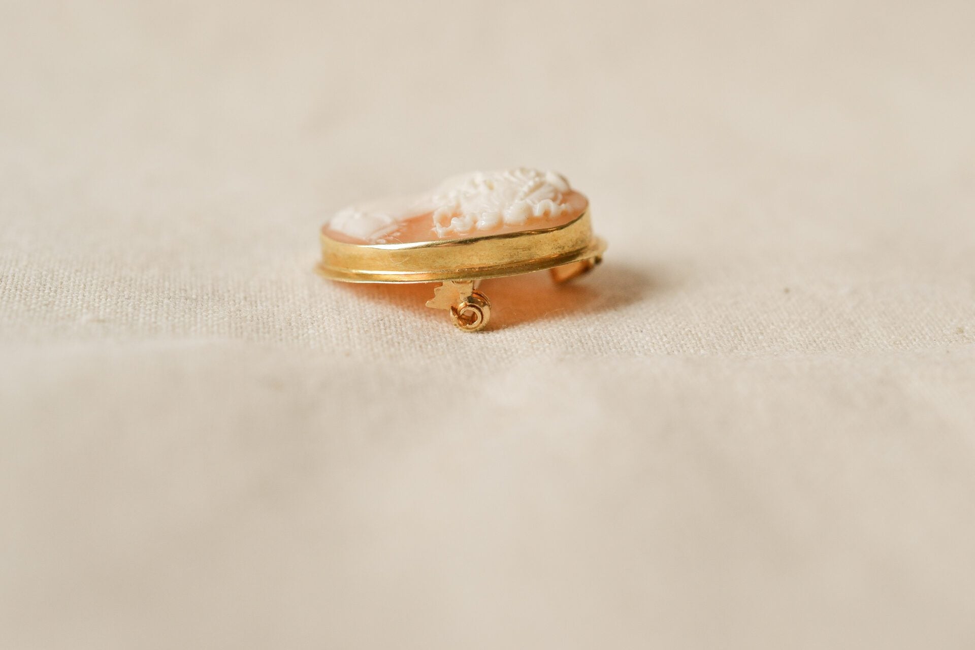 Pendentif et broche Camée