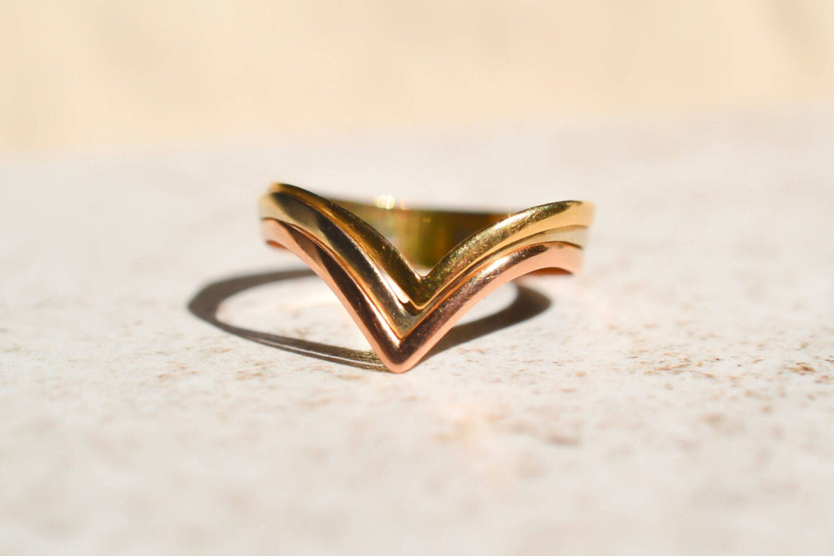Bague V 3 Ors