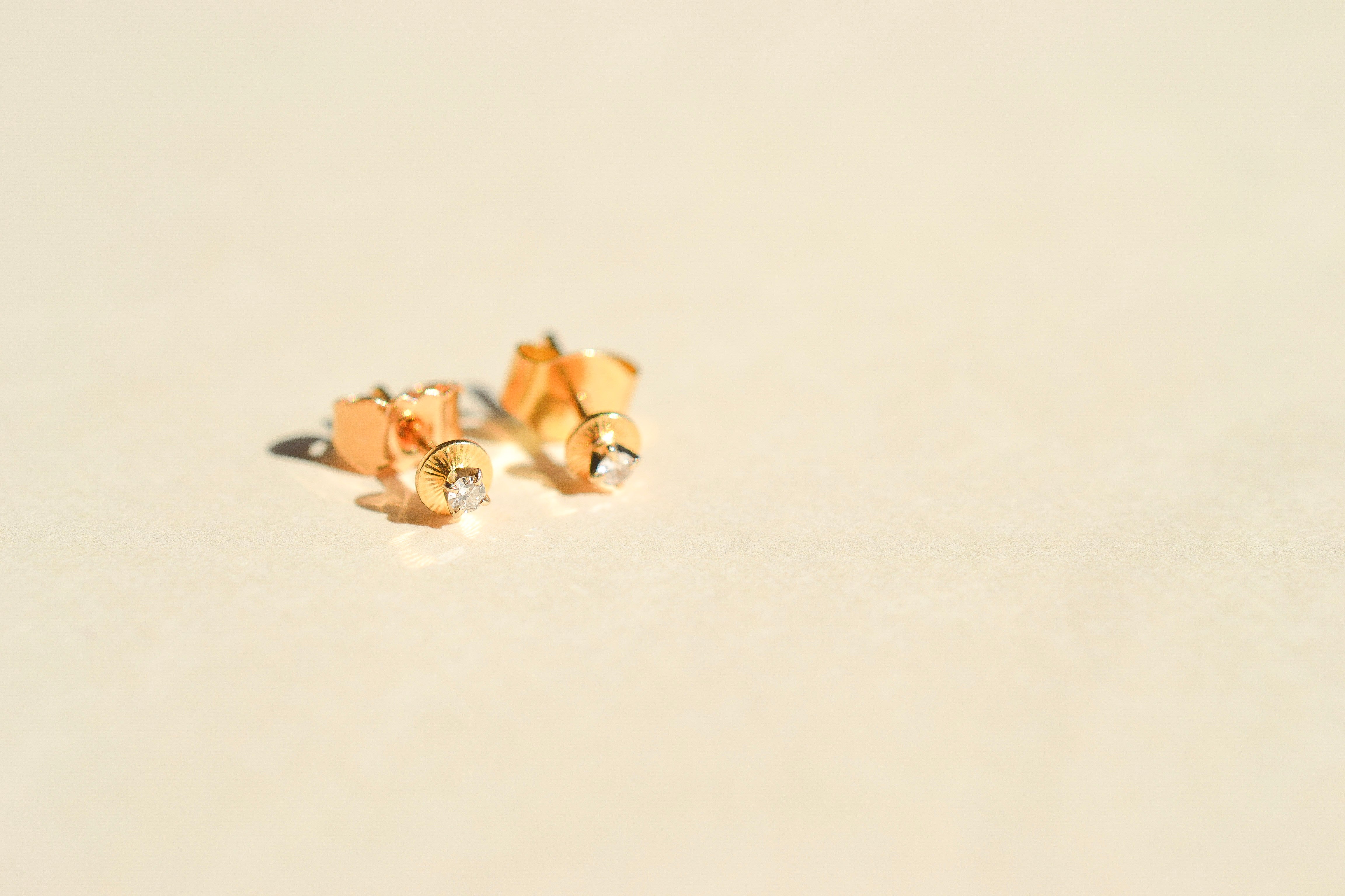 Puces d'oreilles rondes striées