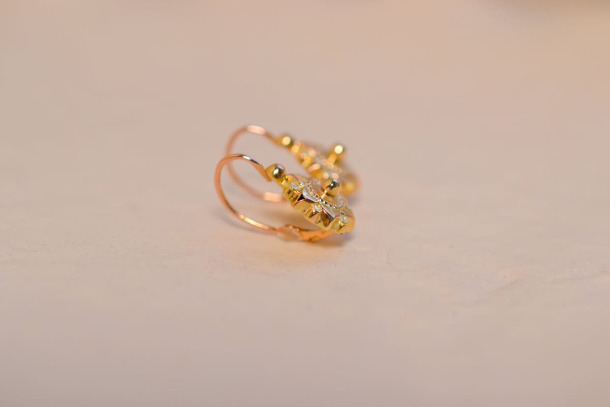 Dormeuses Vintage en Or jaune 18 carats à motifs de fleurs