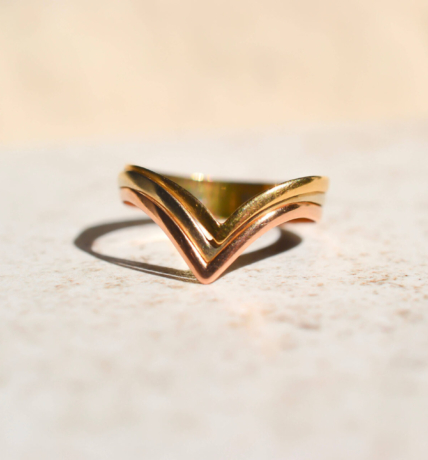 Bague V 3 Ors