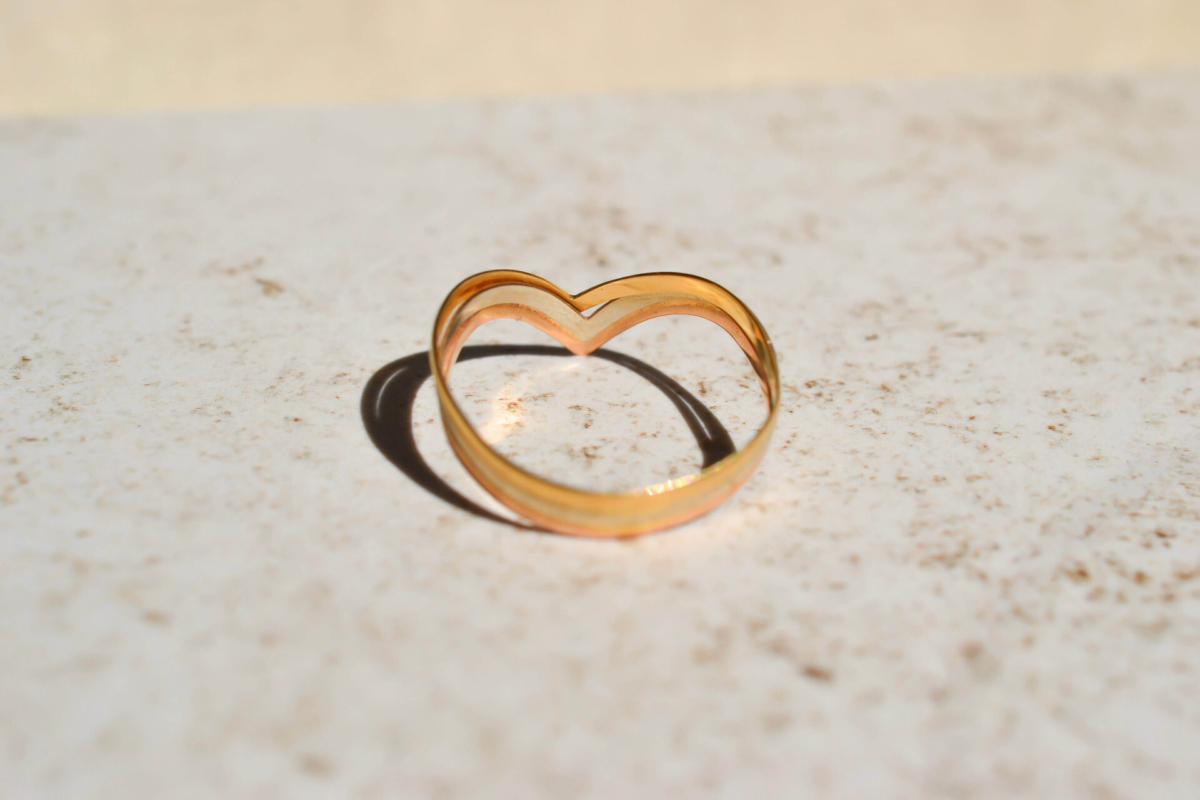 Bague V 3 Ors
